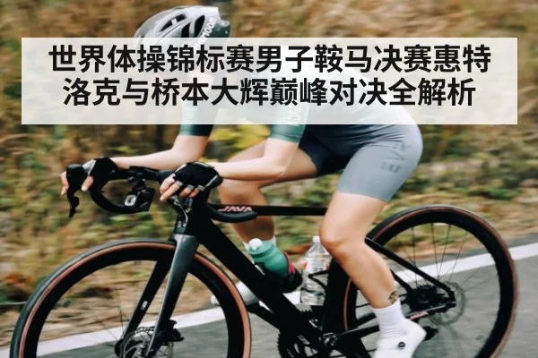 世界体操锦标赛男子鞍马决赛惠特洛克与桥本大辉巅峰对决全解析
